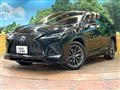 2021 Lexus RX