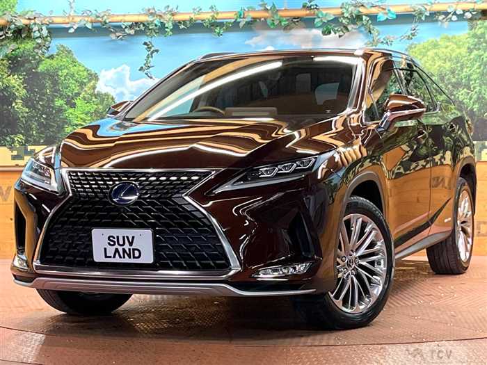 2019 Lexus RX