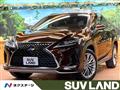 2019 Lexus RX
