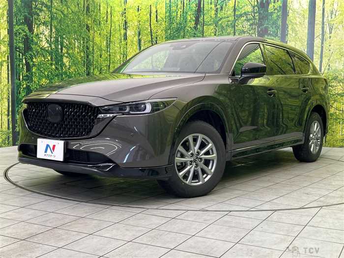 2023 Mazda CX-8