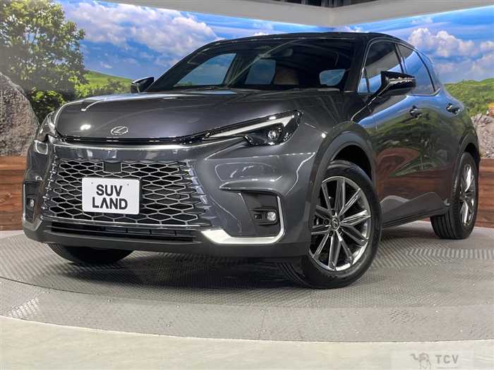 2025 Lexus Other