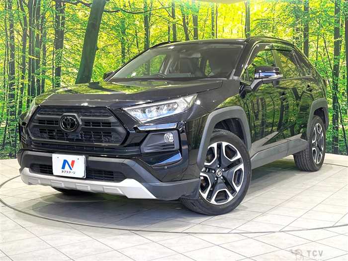 2019 Toyota RAV4