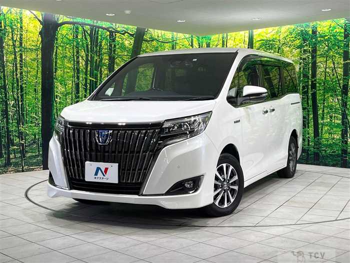 2019 Toyota Esquire