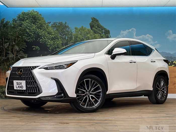 2024 Lexus NX