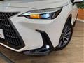 2024 Lexus NX