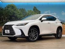 2024 Lexus NX
