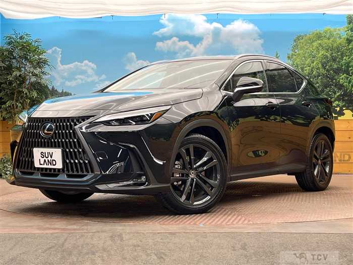 2023 Lexus NX
