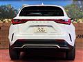 2024 Lexus NX