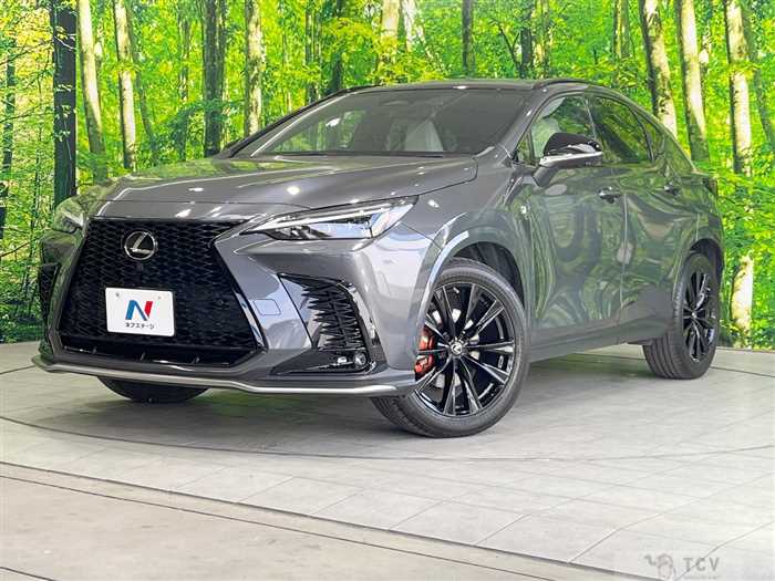 2022 Lexus NX