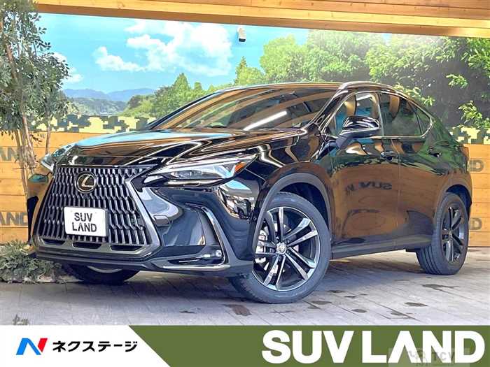 2023 Lexus NX