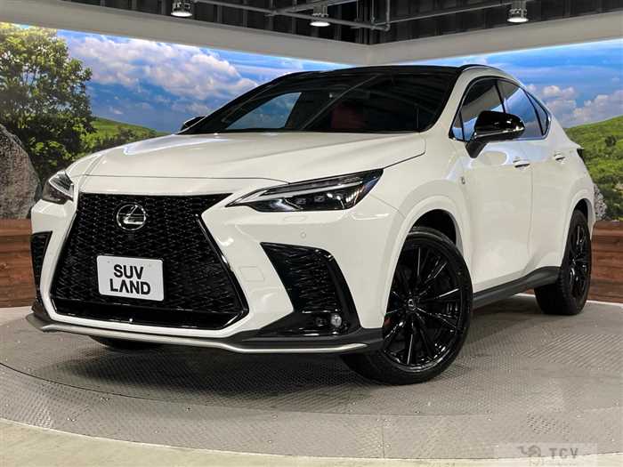 2023 Lexus NX