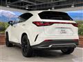 2023 Lexus NX