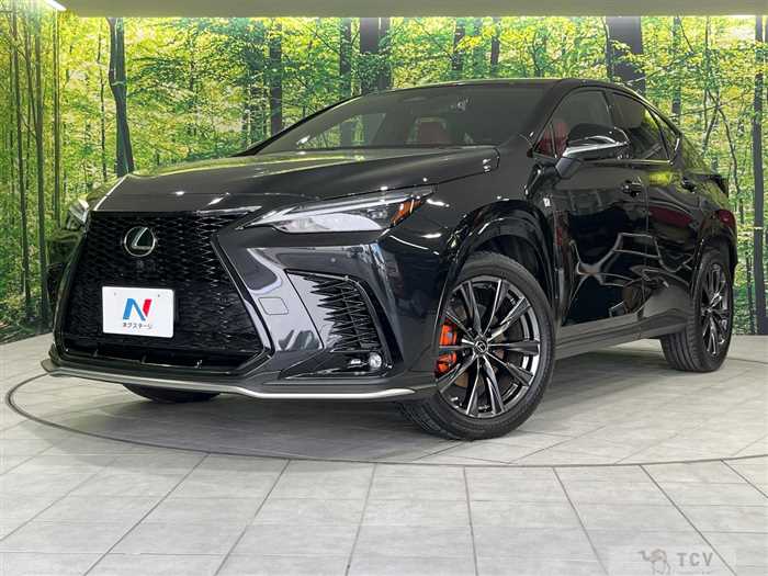 2022 Lexus NX
