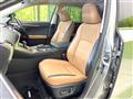2015 Lexus NX