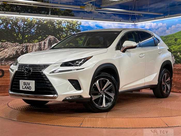 2018 Lexus NX