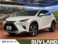 2018 Lexus NX