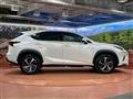 2018 Lexus NX