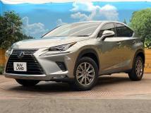 2020 Lexus NX