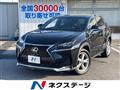 2015 Lexus NX