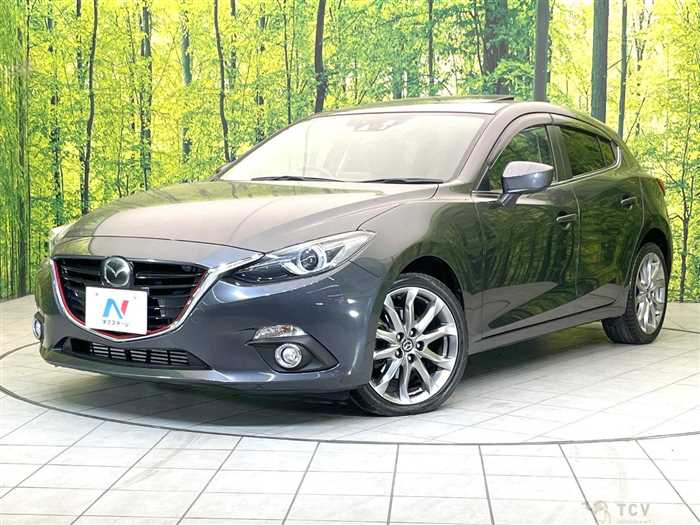 2014 Mazda Axela Sport