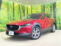 2019 Mazda Mazda Others