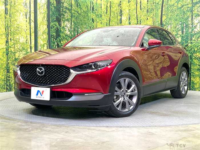 2020 Mazda Mazda Others