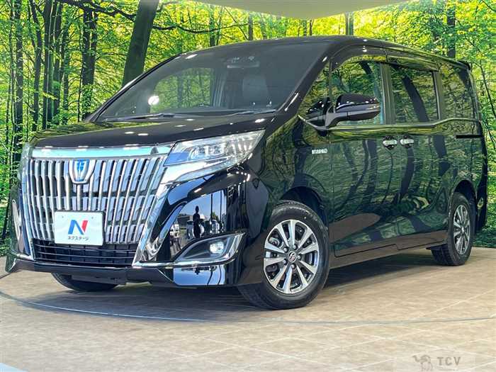 2018 Toyota Esquire