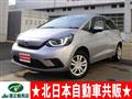 2021 Honda Fit
