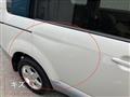 2009 Mitsubishi Delica D5