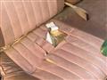 1980 Nissan Nissan Others