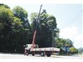 2011 Hino Hino Others