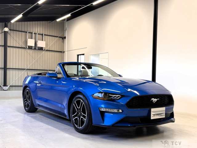 2021 Ford Mustang
