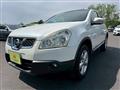 2011 Nissan Dualis