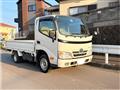 2010 Toyota Dyna Truck