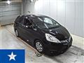 2011 Honda Fit shuttle
