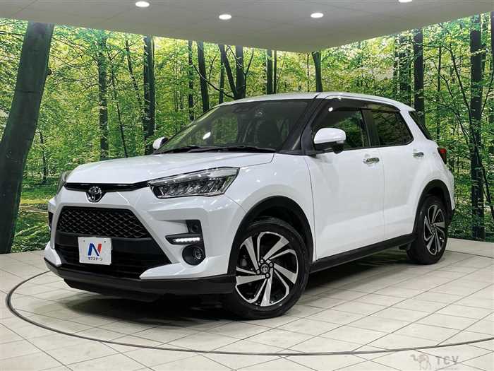 2019 Toyota Raize