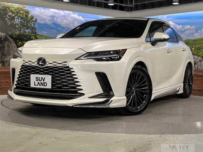 2024 Lexus RX
