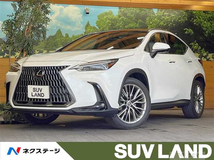 2022 Lexus NX