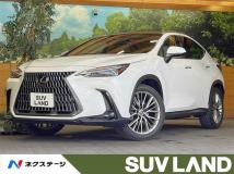 2022 Lexus NX