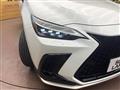2024 Lexus NX