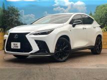 2024 Lexus NX