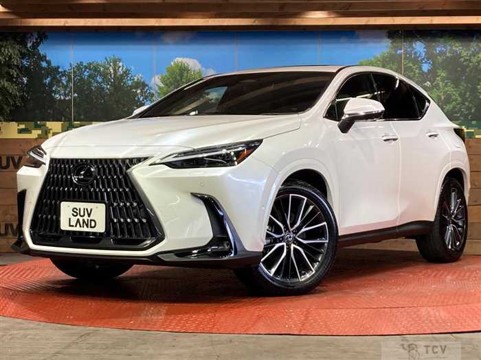 2021 Lexus NX