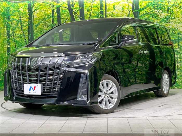2019 Toyota Alphard