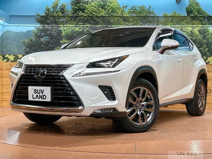 2017 Lexus NX