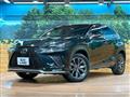 2018 Lexus NX