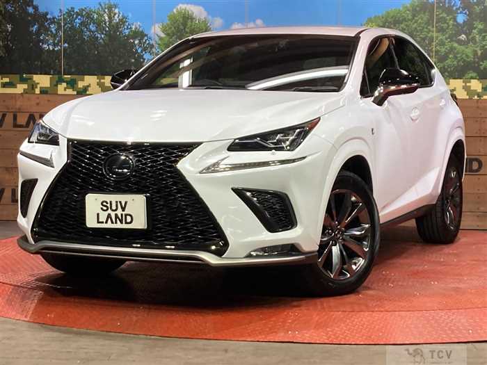 2018 Lexus NX