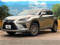 2020 Lexus NX