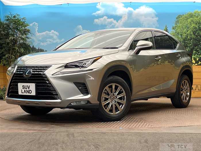 2020 Lexus NX