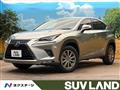 2020 Lexus NX