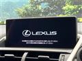 2020 Lexus NX